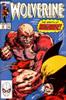 Comic Book Cover