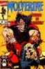 Comic Book Cover