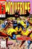 Comic Book Cover