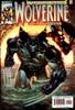 Comic Book Cover