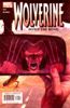 Comic Book Cover