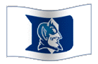 Team Flag