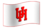 Team Flag