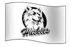 Team Flag