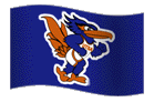 Team Flag