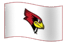 Team Flag
