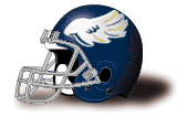 Team Helmet