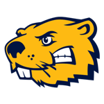 Buena Vista Team Logo