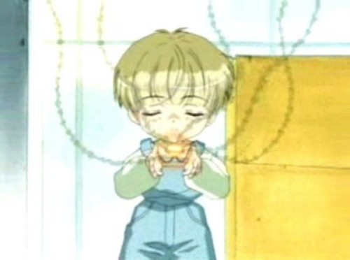 Image of Shin