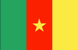 Flag of Cameroon